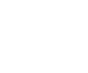 playngo logo